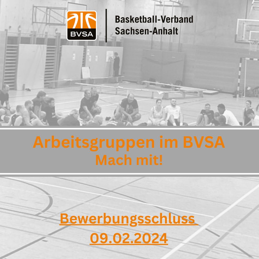 Arbeitsgruppen im BVSA