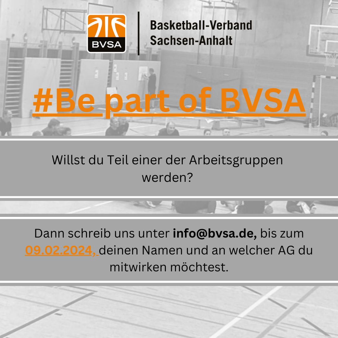Arbeitsgruppen im BVSA