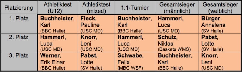 Die Sieger des Tag des besten Minis 2016 // amtliche Liste des BVSA