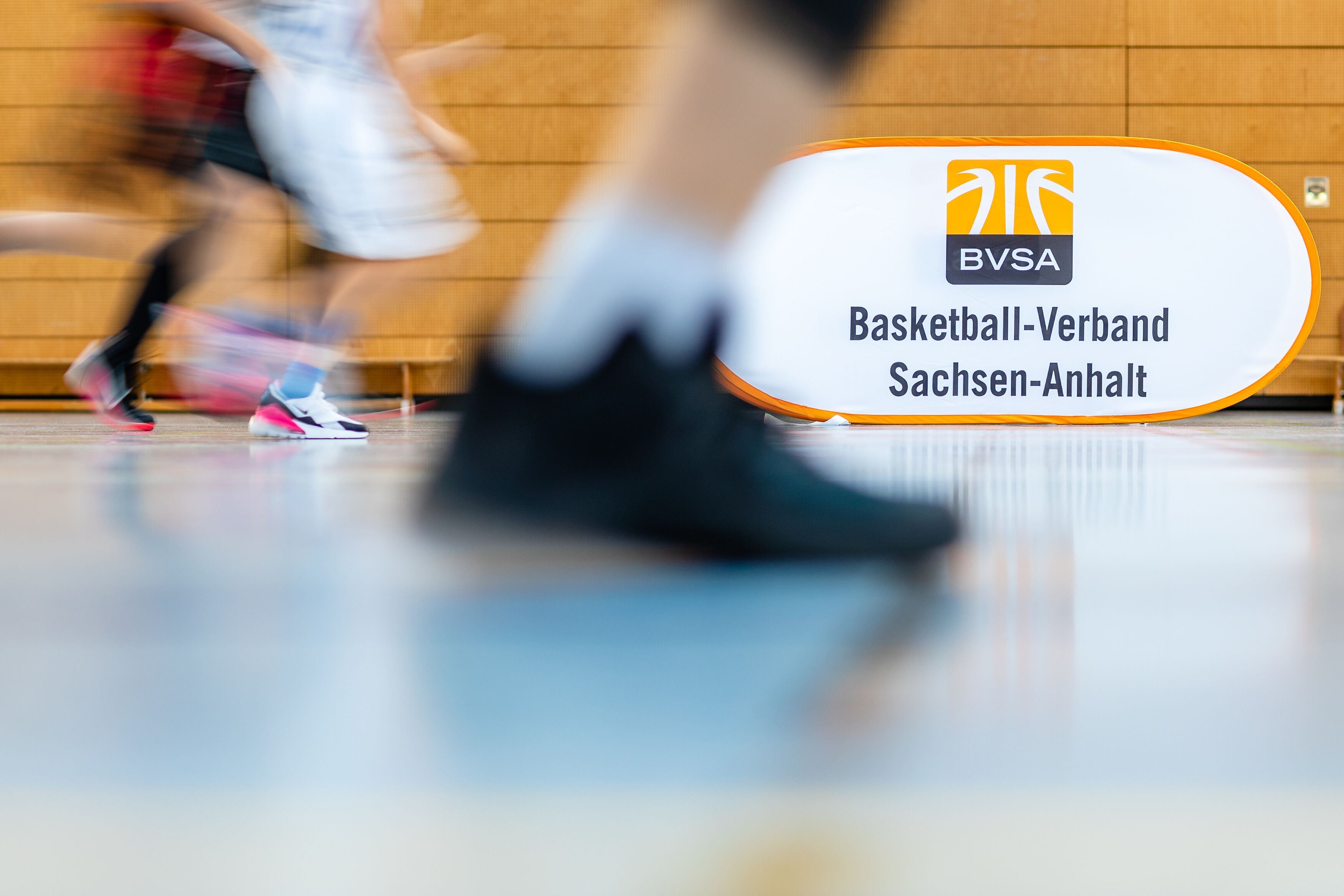 BVSA-Newsletter vom 27.08.2020 // Foto: Hartmut Bösener