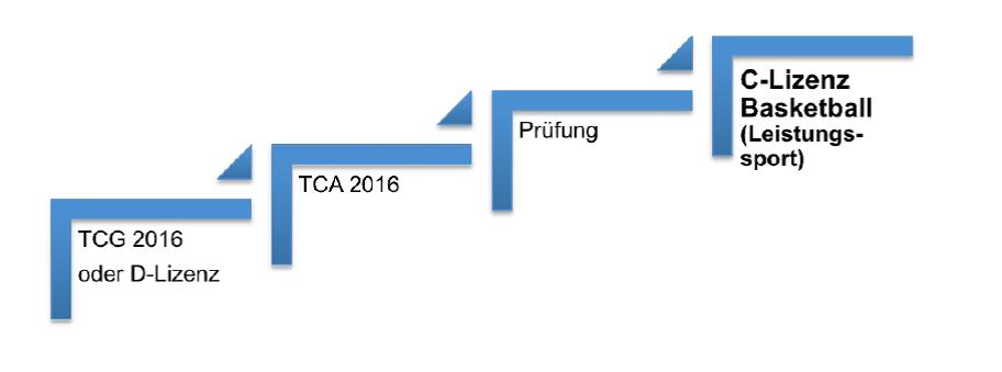 Stufenmodell der Trainerausbildung beim BVSA